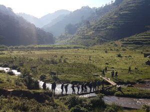 Hiking In Bwindi National Park