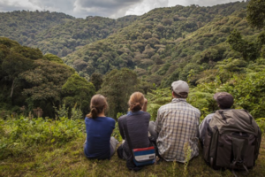 Bwindi Sightseeing