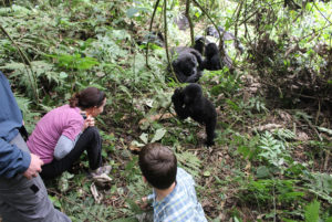 Gorilla Trekking in Uganda